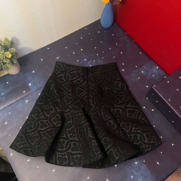 ZAC Zac Posen Black Skirt- Size 6 - Picture 16 of 16